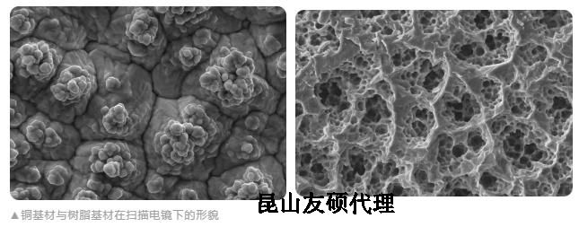 遵义蔡司遵义扫描电镜