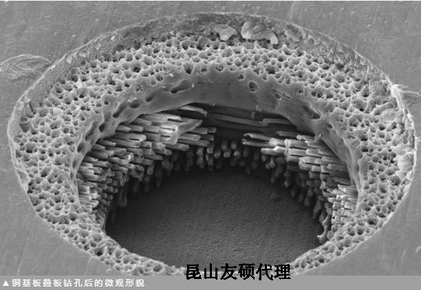 遵义蔡司遵义扫描电镜